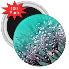 Dandelion 2015 0701 3  Magnets (100 Pack) by JAMFoto