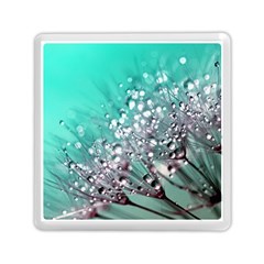 Dandelion 2015 0701 Memory Card Reader (square)  by JAMFoto