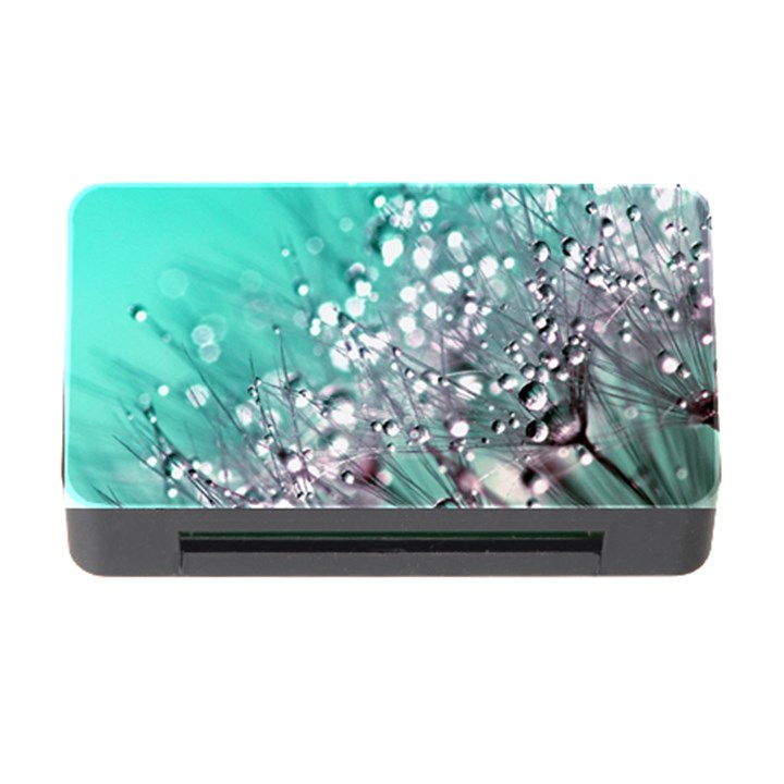 Dandelion 2015 0701 Memory Card Reader with CF