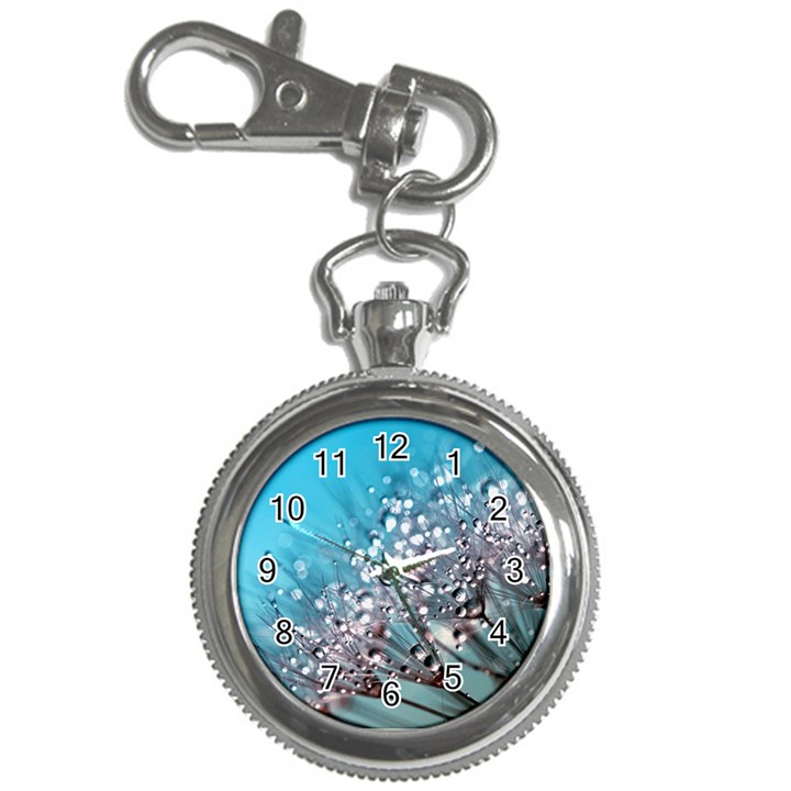 Dandelion 2015 0702 Key Chain Watches