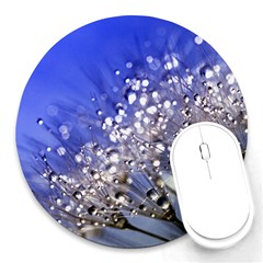 Dandelion 2015 0704 Round Mousepads by JAMFoto