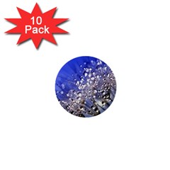 Dandelion 2015 0704 1  Mini Buttons (10 Pack) 