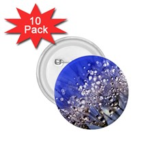 Dandelion 2015 0704 1 75  Buttons (10 Pack)