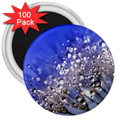 Dandelion 2015 0704 3  Magnets (100 Pack) by JAMFoto