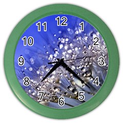 Dandelion 2015 0704 Color Wall Clocks by JAMFoto