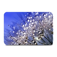 Dandelion 2015 0704 Plate Mats by JAMFoto