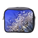 Dandelion 2015 0704 Mini Toiletries Bag 2-Side Front