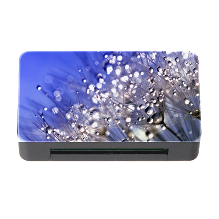 Dandelion 2015 0704 Memory Card Reader with CF