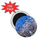 Dandelion 2015 0703 1.75  Magnets (100 pack)  Front