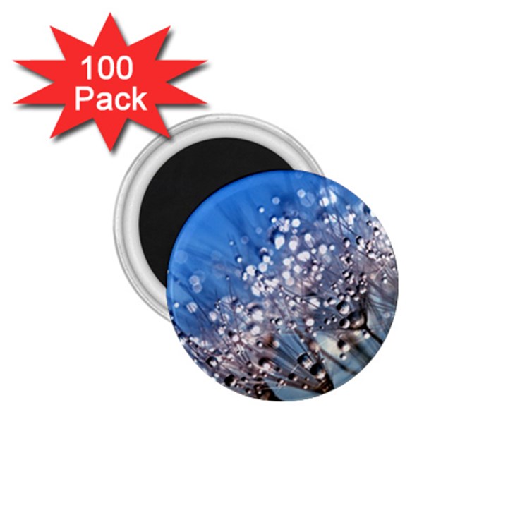 Dandelion 2015 0703 1.75  Magnets (100 pack) 