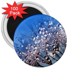 Dandelion 2015 0703 3  Magnets (100 Pack)