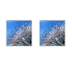 Dandelion 2015 0703 Cufflinks (square) by JAMFoto