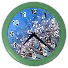 Dandelion 2015 0703 Color Wall Clocks