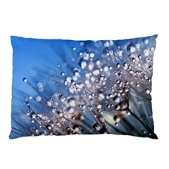 Dandelion 2015 0703 Pillow Cases