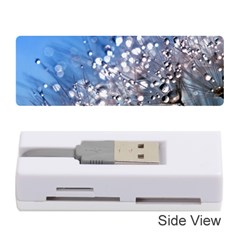 Dandelion 2015 0703 Memory Card Reader (stick) 