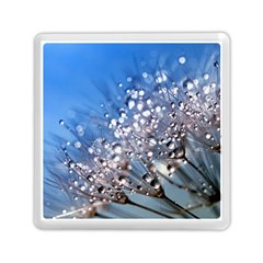 Dandelion 2015 0703 Memory Card Reader (square) 