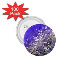 Dandelion 2015 0705 1 75  Buttons (100 Pack) 