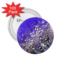 Dandelion 2015 0705 2 25  Buttons (100 Pack) 