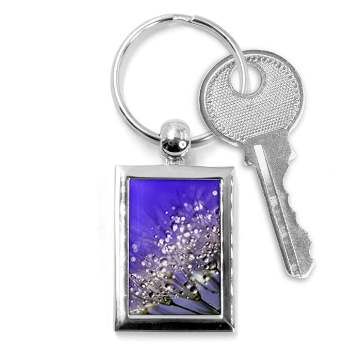 Dandelion 2015 0705 Key Chains (Rectangle) 