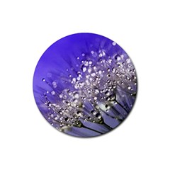 Dandelion 2015 0705 Rubber Coaster (round) 