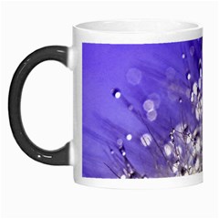 Dandelion 2015 0705 Morph Mugs