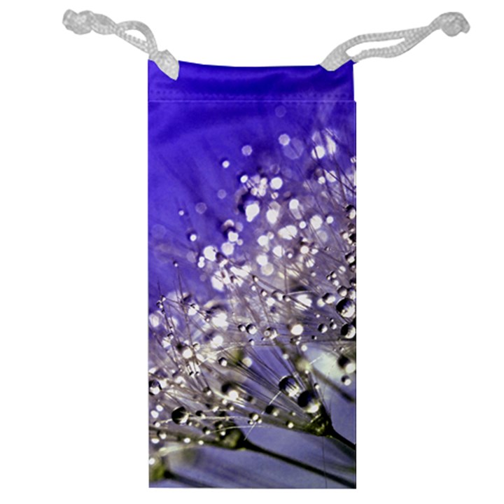 Dandelion 2015 0705 Jewelry Bags