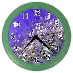 Dandelion 2015 0705 Color Wall Clocks