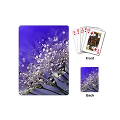 Dandelion 2015 0705 Playing Cards (mini) 