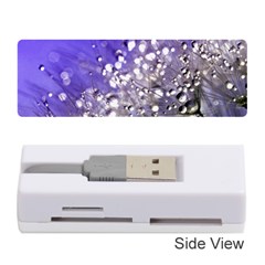 Dandelion 2015 0705 Memory Card Reader (stick) 