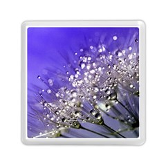 Dandelion 2015 0705 Memory Card Reader (square) 