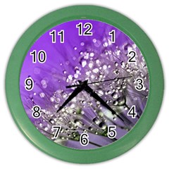 Dandelion 2015 0706 Color Wall Clocks