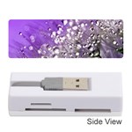 Dandelion 2015 0706 Memory Card Reader (Stick)  Front