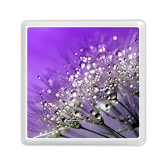 Dandelion 2015 0706 Memory Card Reader (square) 