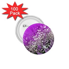 Dandelion 2015 0707 1 75  Buttons (100 Pack) 