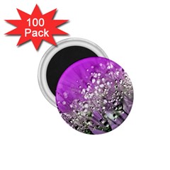 Dandelion 2015 0707 1 75  Magnets (100 Pack) 