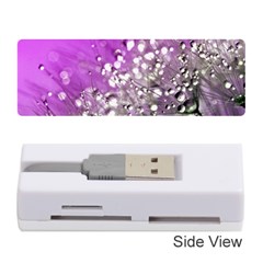 Dandelion 2015 0707 Memory Card Reader (stick) 