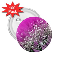 Dandelion 2015 0708 2 25  Buttons (100 Pack) 