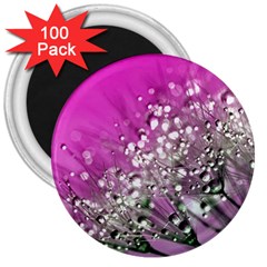 Dandelion 2015 0708 3  Magnets (100 Pack) by JAMFoto