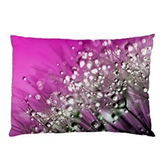 Dandelion 2015 0708 Pillow Cases