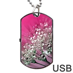 Dandelion 2015 0709 Dog Tag Usb Flash (two Sides) 