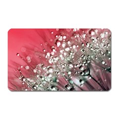 Dandelion 2015 0710 Magnet (rectangular) by JAMFoto