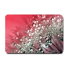 Dandelion 2015 0710 Small Doormat  by JAMFoto