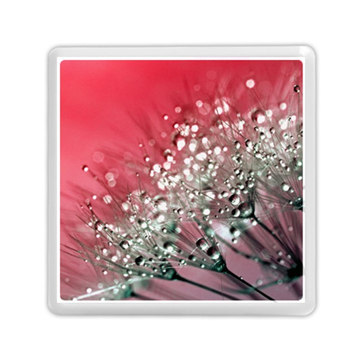 Dandelion 2015 0710 Memory Card Reader (Square) 