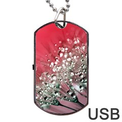 Dandelion 2015 0710 Dog Tag Usb Flash (one Side)