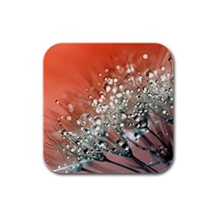 Dandelion 2015 0711 Rubber Square Coaster (4 Pack) 