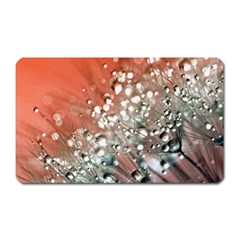 Dandelion 2015 0711 Magnet (rectangular)