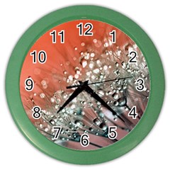 Dandelion 2015 0711 Color Wall Clocks