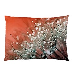 Dandelion 2015 0711 Pillow Cases