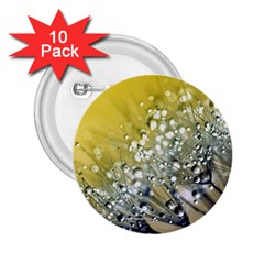 Dandelion 2015 0713 2 25  Buttons (10 Pack)  by JAMFoto