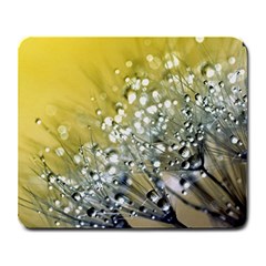 Dandelion 2015 0713 Large Mousepads